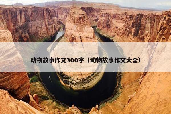 动物故事作文300字（动物故事作文大全）