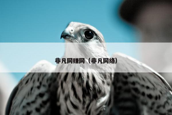 非凡网赚网（非凡网络）