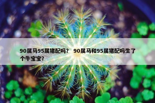 90属马95属猪配吗？ 90属马和95属猪配吗生了个牛宝宝？