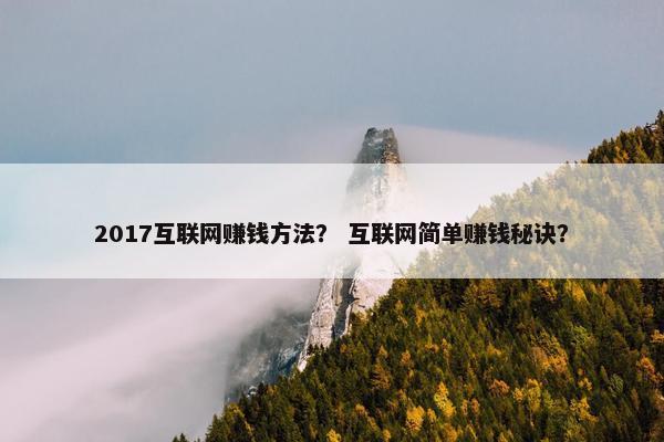 2017互联网赚钱方法？ 互联网简单赚钱秘诀？