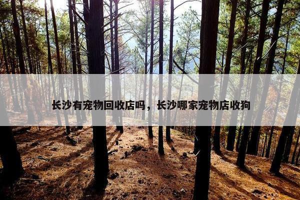 长沙有宠物回收店吗，长沙哪家宠物店收狗
