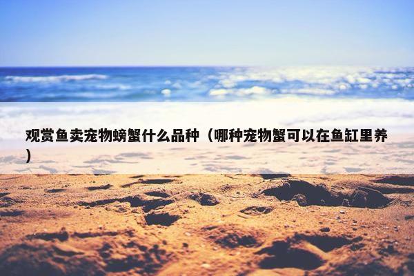 观赏鱼卖宠物螃蟹什么品种（哪种宠物蟹可以在鱼缸里养）