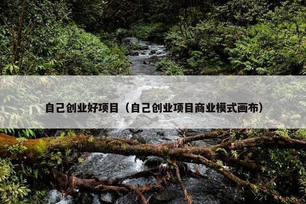 自己创业好项目(自己创业项目商业模式画布) 自己创业好项目(自己创业项目商业模式画布)