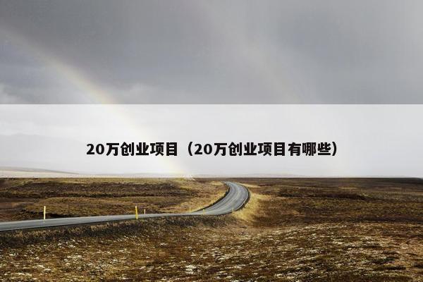 20万创业项目（20万创业项目有哪些）