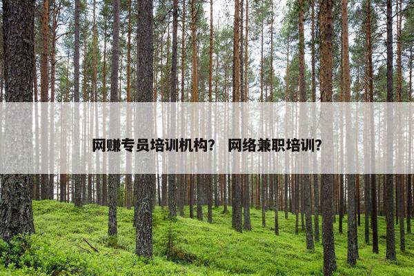 网赚专员培训机构？ 网络兼职培训？