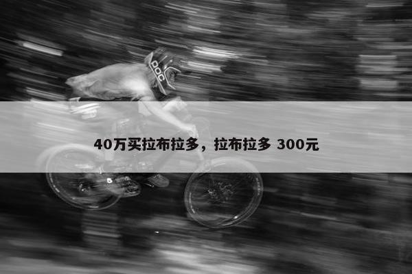 40万买拉布拉多，拉布拉多 300元