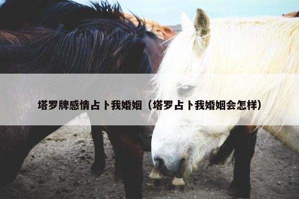 塔罗牌感情占卜我婚姻（塔罗占卜我婚姻会怎样）