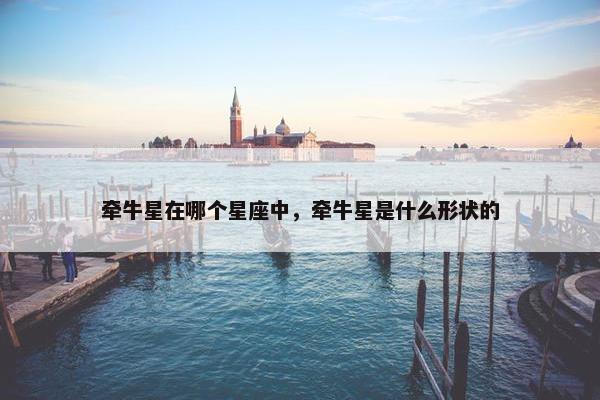 牵牛星在哪个星座中，牵牛星是什么形状的