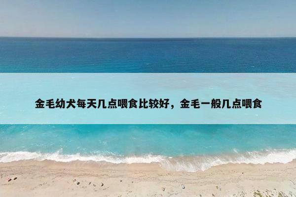 金毛幼犬每天几点喂食比较好，金毛一般几点喂食