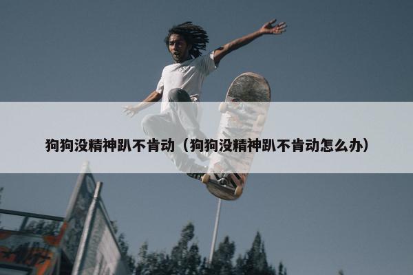 狗狗没精神趴不肯动（狗狗没精神趴不肯动怎么办）