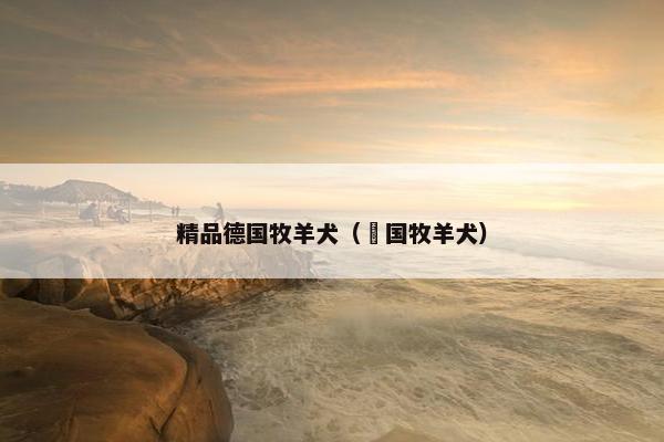 精品德国牧羊犬（徳国牧羊犬）