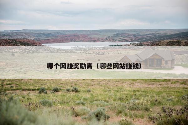 哪个网赚奖励高（哪些网站赚钱）