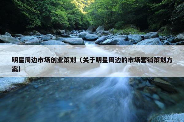 明星周边市场创业策划（关于明星周边的市场营销策划方案）