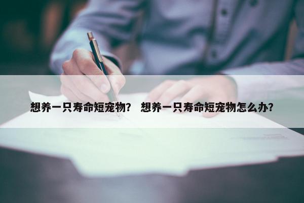 想养一只寿命短宠物？ 想养一只寿命短宠物怎么办？