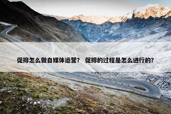 促排怎么做自媒体运营？ 促排的过程是怎么进行的？