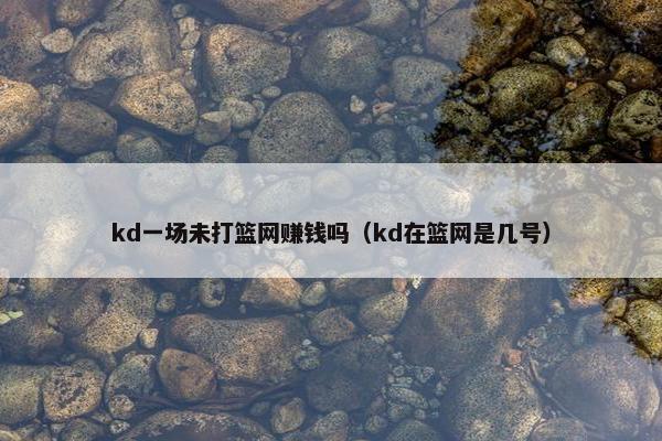kd一场未打篮网赚钱吗（kd在篮网是几号）