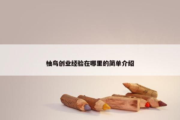 柚鸟创业经验在哪里的简单介绍