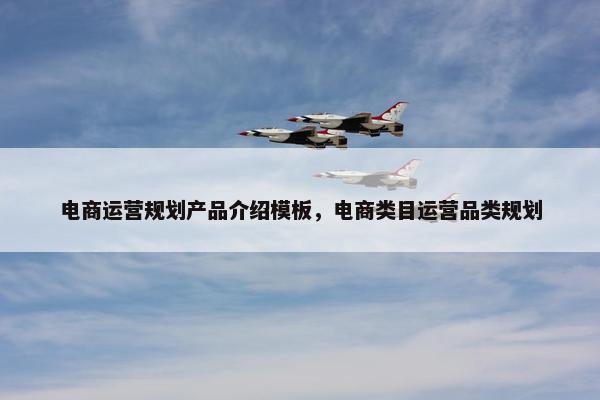 电商运营规划产品介绍模板，电商类目运营品类规划