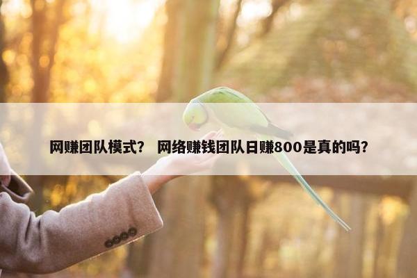 网赚团队模式? 网络赚钱团队日赚800是真的吗? 网赚团队模式? 网络赚钱团队日赚800是真的吗?