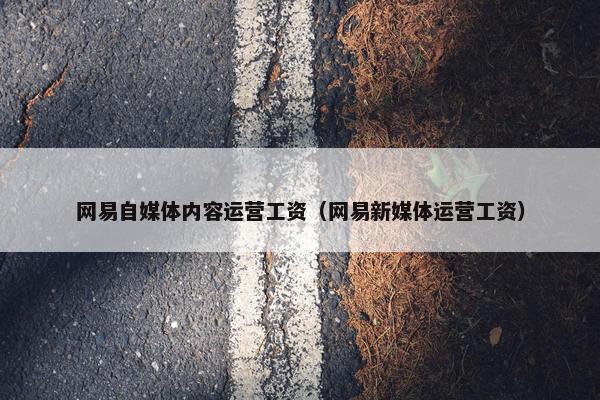 网易自媒体内容运营工资（网易新媒体运营工资）