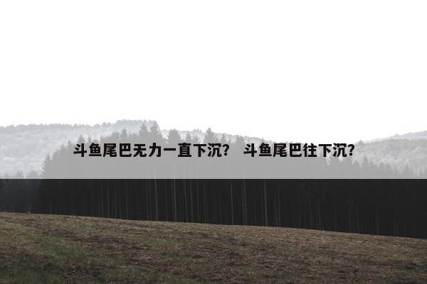 斗鱼尾巴无力一直下沉？ 斗鱼尾巴往下沉？