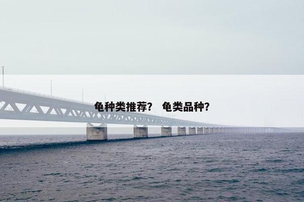 龟种类推荐？ 龟类品种？