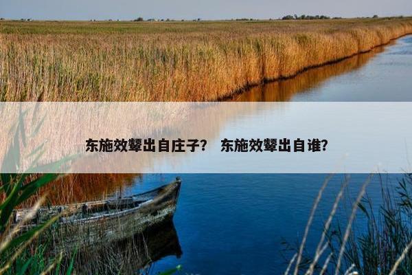 东施效颦出自庄子？ 东施效颦出自谁？