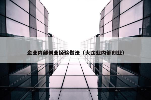 企业内部创业经验做法（大企业内部创业）