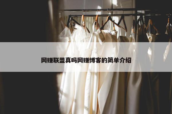 网赚联盟真吗网赚博客的简单介绍