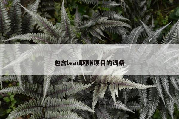 包含lead网赚项目的词条