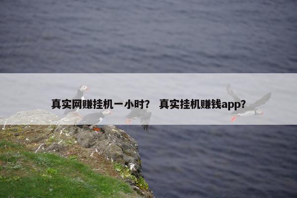 真实网赚挂机一小时？ 真实挂机赚钱app？