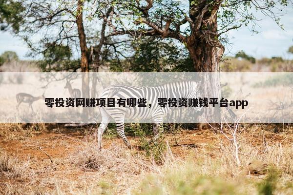 零投资网赚项目有哪些，零投资赚钱平台app