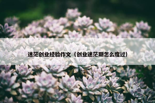 迷茫创业经验作文（创业迷茫期怎么度过）