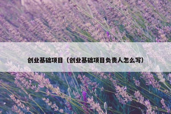 创业基础项目（创业基础项目负责人怎么写）