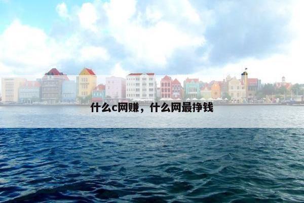 什么c网赚，什么网最挣钱