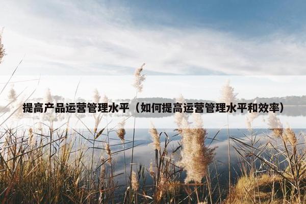提高产品运营管理水平（如何提高运营管理水平和效率）