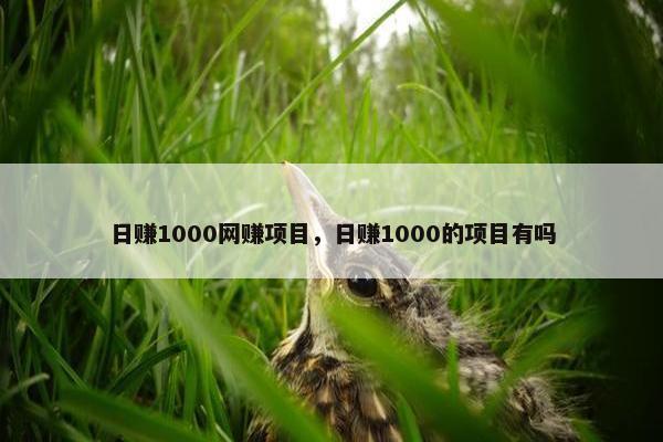 日赚1000网赚项目，日赚1000的项目有吗
