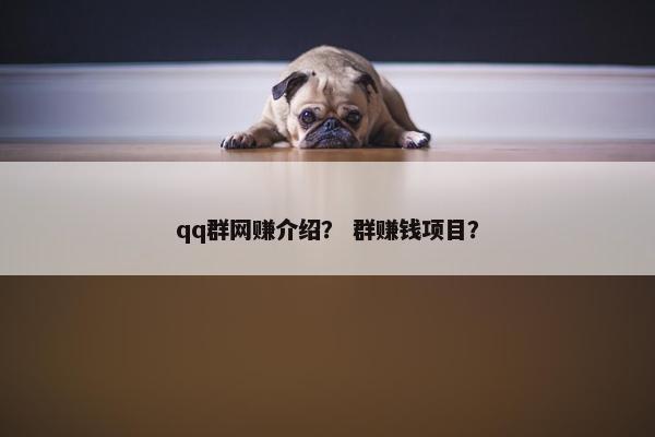 qq群网赚介绍？ 群赚钱项目？