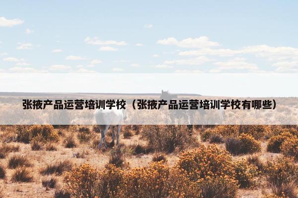 张掖产品运营培训学校（张掖产品运营培训学校有哪些）
