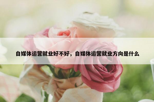 自媒体运营就业好不好，自媒体运营就业方向是什么