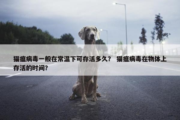 猫瘟病毒一般在常温下可存活多久？ 猫瘟病毒在物体上存活的时间？