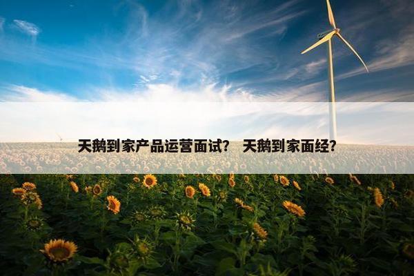 天鹅到家产品运营面试？ 天鹅到家面经？