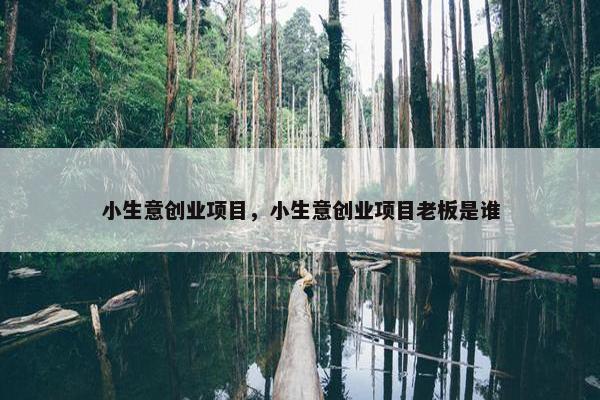 小生意创业项目，小生意创业项目老板是谁