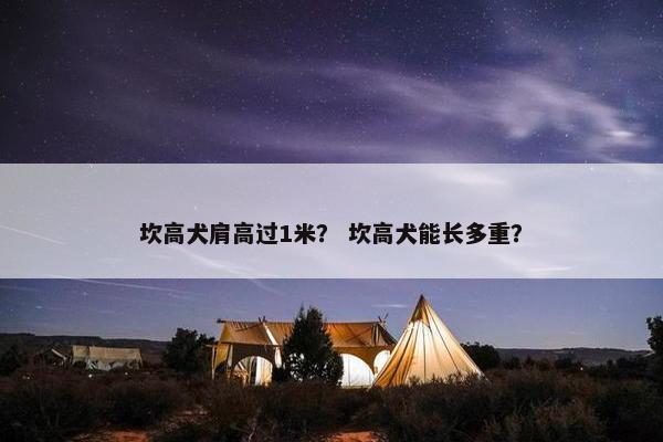 坎高犬肩高过1米？ 坎高犬能长多重？