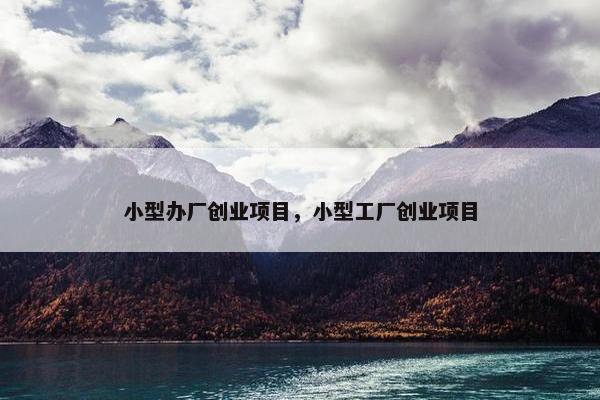小型办厂创业项目，小型工厂创业项目