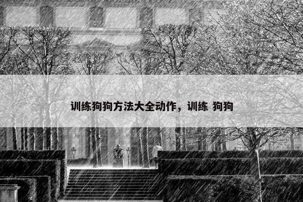 训练狗狗方法大全动作，训练 狗狗