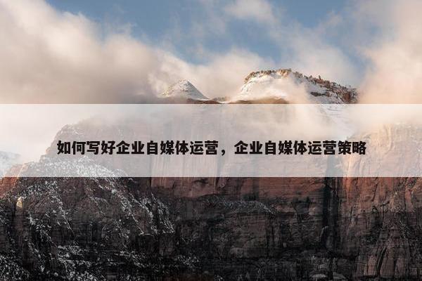 如何写好企业自媒体运营，企业自媒体运营策略