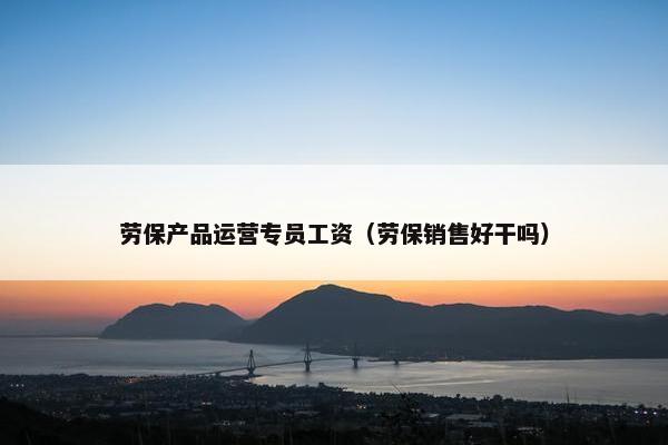 劳保产品运营专员工资（劳保销售好干吗）