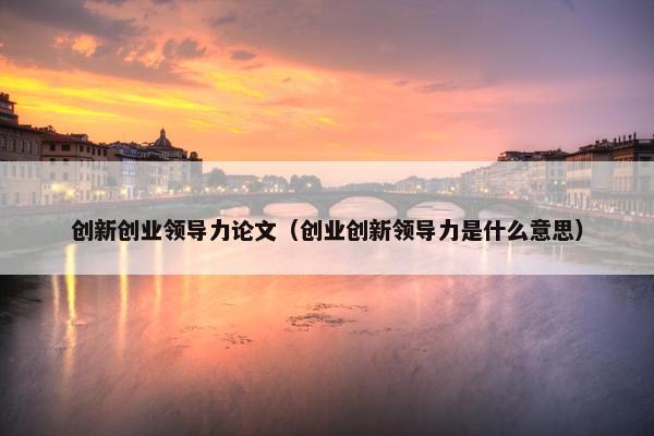 创新创业领导力论文（创业创新领导力是什么意思）