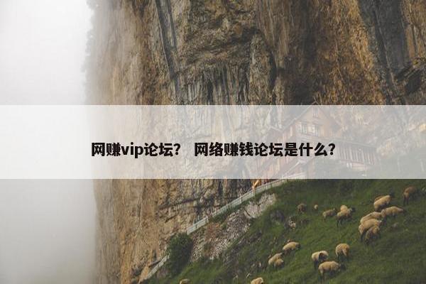 网赚vip论坛？ 网络赚钱论坛是什么？